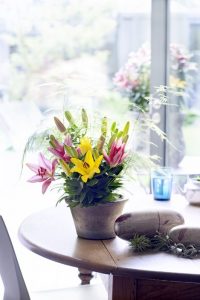 potlelie woonplanten