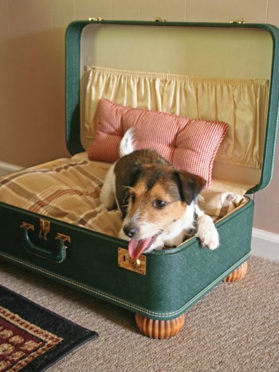 Ouderwets koffertje als slaap en rustplekje omgetroverd voor de hond.